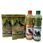 KIT - 2 COLEIRO ALTA PERFORMANCE + 1 ALCON CLUB COLEIRO GREEN/VERDE + 1 ALCON COLEIRO