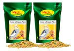 KIT - 2 SELLECTA SABOR E FRUTAS PSITA - 500G CADA