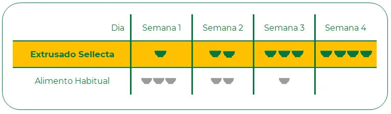 KIT - 2 SELLECTA EXTRUSADO CURIÓ, BICUDO E AZULÃO
