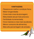 2 BIOTRON BAMBITO EXTRUSADO - 500G CADA