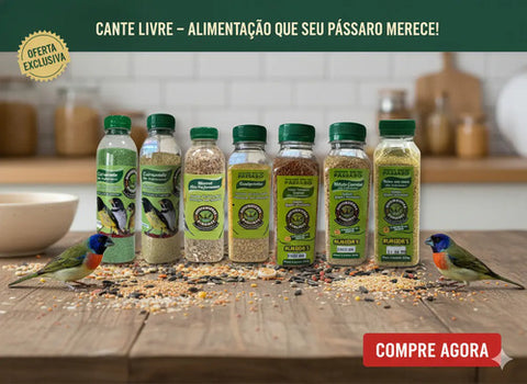 Kit Alimentação Natural Completo Extrusados E Grãos