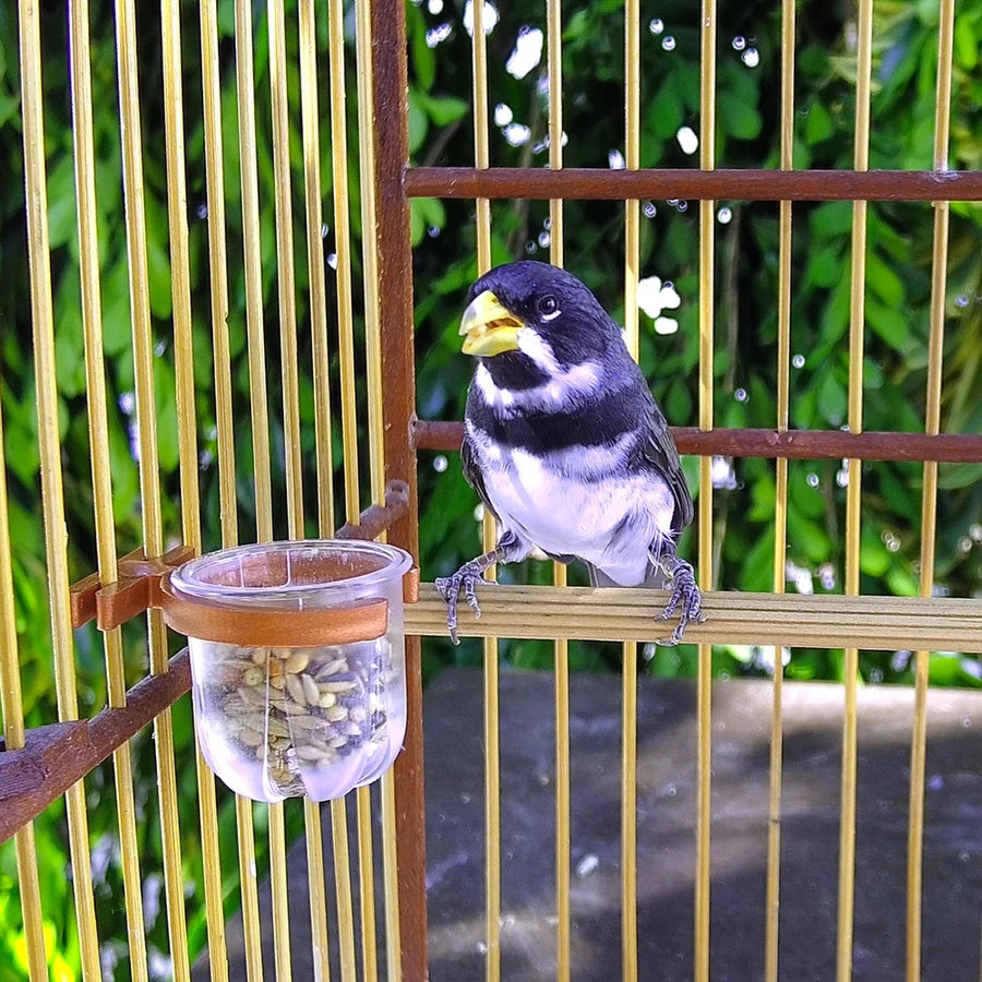 PORTA VITAMINA RUBI PEQUENO COM PRESILHA COBRE R1.1 PCT C/10