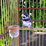 PORTA VITAMINA RUBI PEQUENO COM PRESILHA COBRE R1.1 PCT C/10