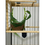 NINHO CESTO - Caixa c/ 7 unidades