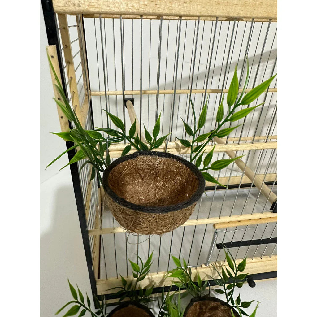 NINHO MATO - Coleiro e Curió