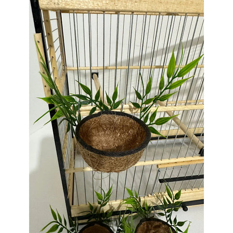 NINHO MATO - Coleiro e Curió