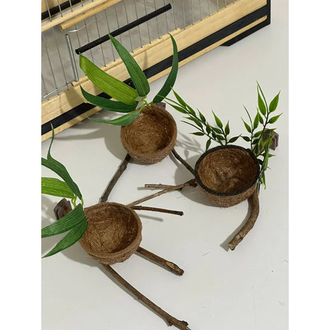 NINHO GALHO - Coleiro