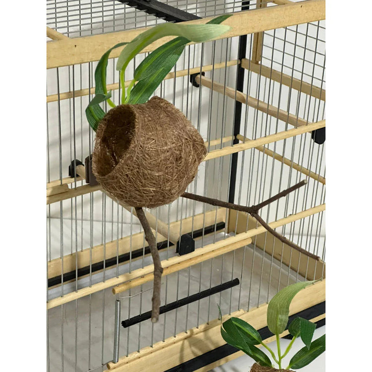 NINHO BOLA C/ GALHO - Coleiro