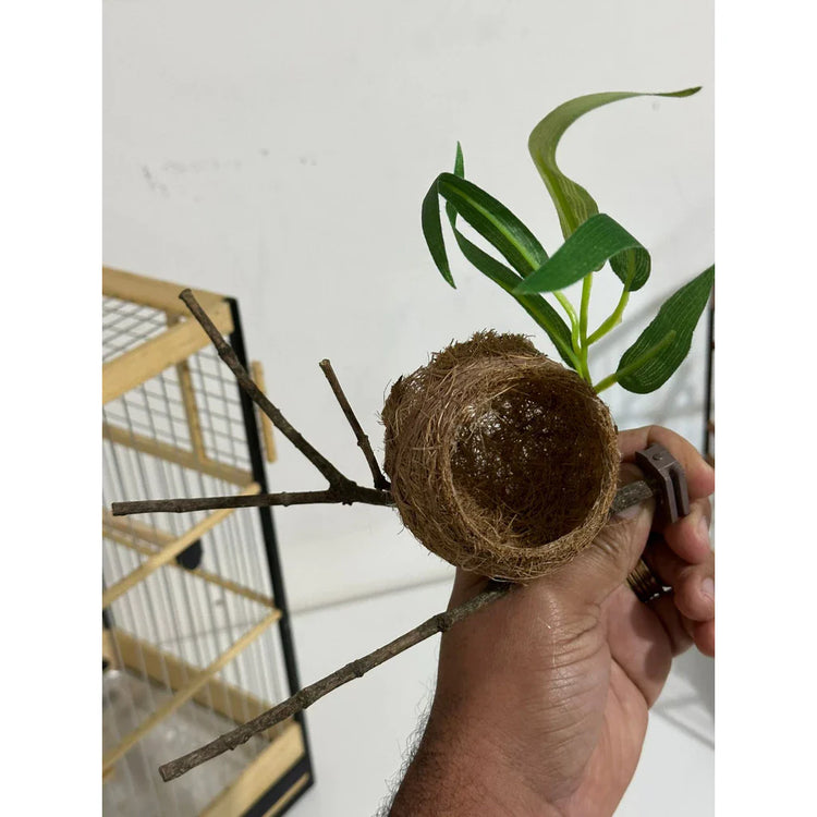 NINHO BOLA C/ GALHO - Coleiro