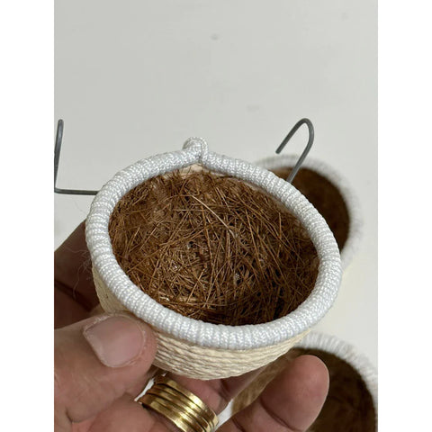 NINHO TOP PARA COLEIRO