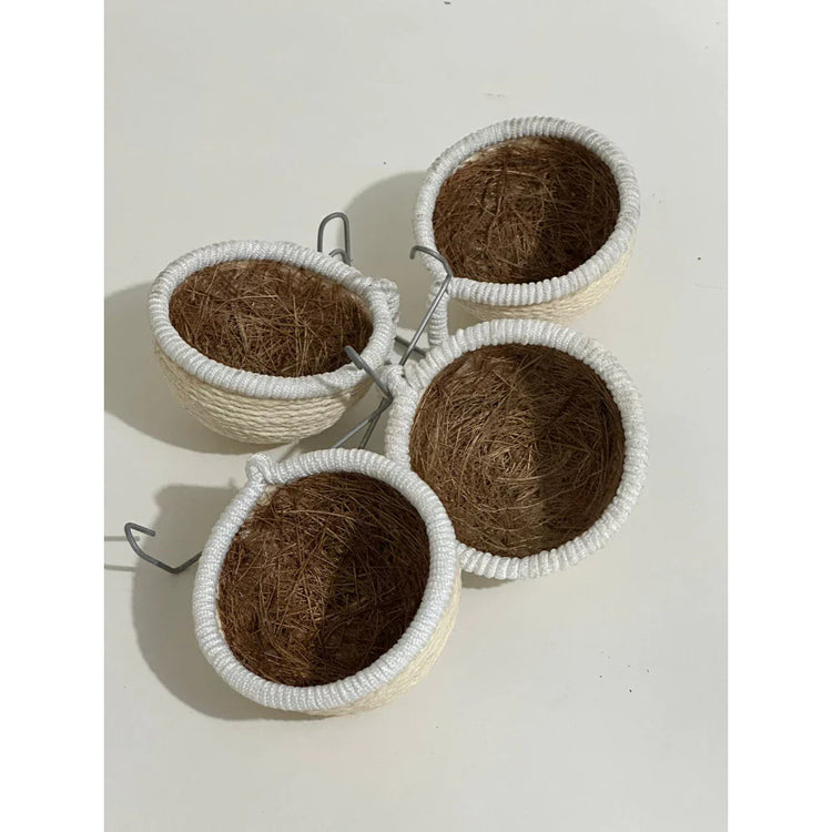 NINHO TOP PARA CURIO