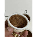 NINHO TOP PARA CURIO