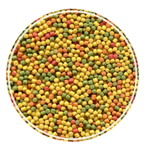 KIT - ALCON CLUB CURIÓ - 6 unidades de 325g cada