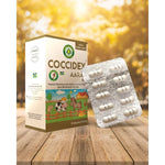 COCCIDEX AARÃO - CAIXA C/ 30 CÁPSULAS