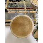 NINHO DE BUCHA  AZULÃO, BICUDO E CANÁRIO