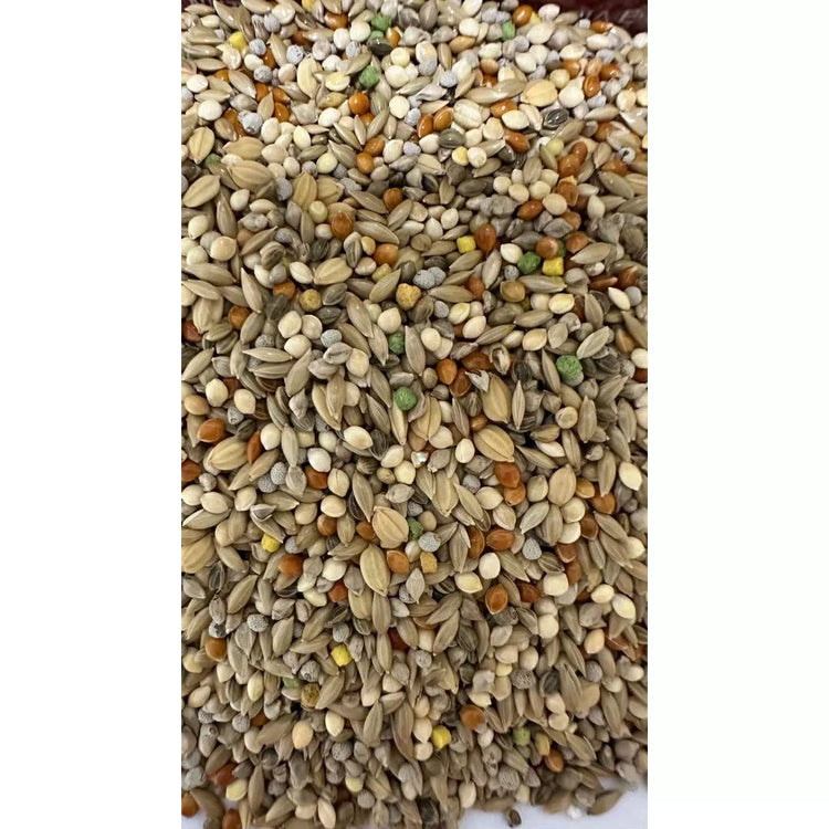 KIT C/2 BICUDO E CURIÓ ALTA PERFORMANCE 500g