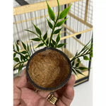 KIT Coleiro Alta Performance - 1