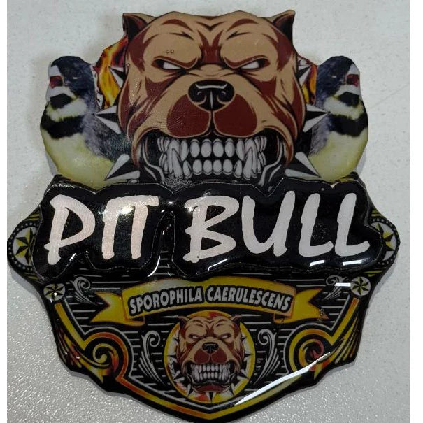 PLACA DE COLEIRO PAULISTA PERSONALIZADA EM 3D COM O NOME DO PÁSSARO