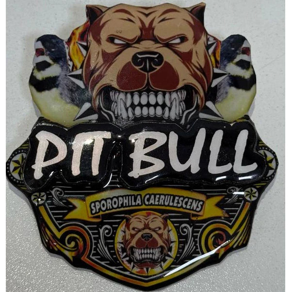 PLACA DE COLEIRO PAULISTA PERSONALIZADA EM 3D COM O NOME DO PÁSSARO