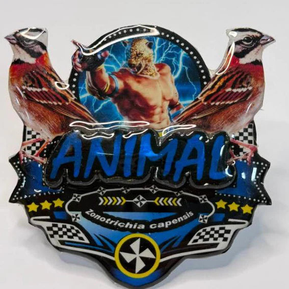 PLACA DE TICO TICO PERSONALIZADA EM 3D COM O NOME DO PÁSSARO