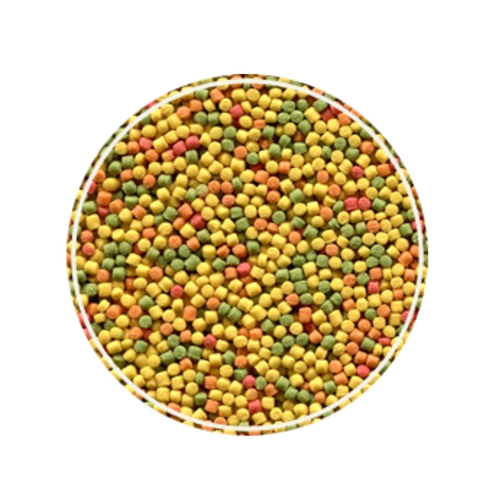 ALCON  CLUB COLEIRO 150Gr