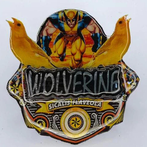 PLACA EM 3D CANÁRIO DA TERRA