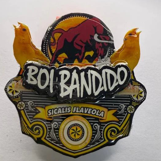 PLACA EM 3D CANÁRIO DA TERRA