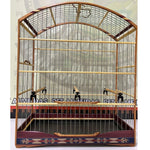 GAIOLA DE PASSEIO PARA TIZIU - MALHA FINA,  MARCHETARIA FITA FINA  E TALA DE ARAME