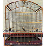 GAIOLA DE PASSEIO PARA TIZIU - MALHA FINA,  MARCHETARIA FITA FINA  E TALA DE ARAME