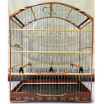 GAIOLA DE PASSEIO PARA TIZIU - MALHA FINA,  MARCHETARIA FITA FINA  E TALA DE ARAME