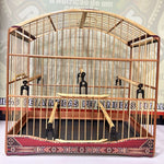 GAIOLA DE PASSEIO PARA TRINCA FERRO, COM MARCHETARIA EM FITA LARGA