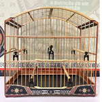 GAIOLA DE PASSEIO PARA TRINCA FERRO, COM MARCHETARIA EM FITA LARGA