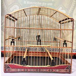 GAIOLA DE PASSEIO PARA TRINCA FERRO, COM MARCHETARIA EM FITA LARGA