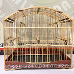 GAIOLA DE PASSEIO COLEIRO/ MALHA FINA - MARCHETARIA FITA FINA