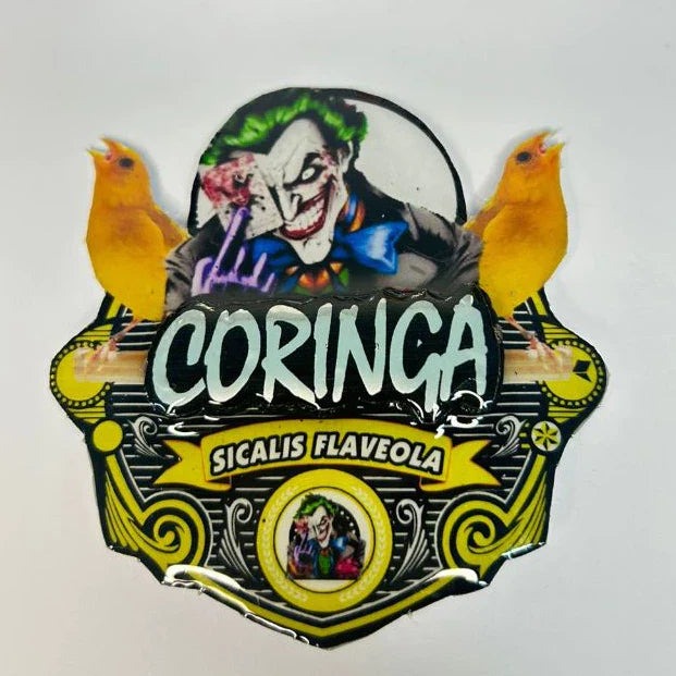 PLACA EM 3D CANÁRIO DA TERRA