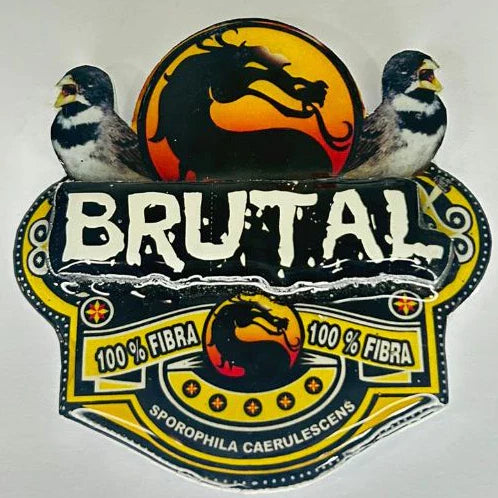 PLACA DE COLEIRO  PERSONALIZADA EM 3D COM NOME DO PÁSSARO