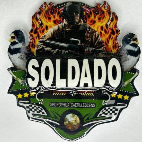 PLACA DE COLEIRO  PERSONALIZADA EM 3D COM NOME DO PÁSSARO