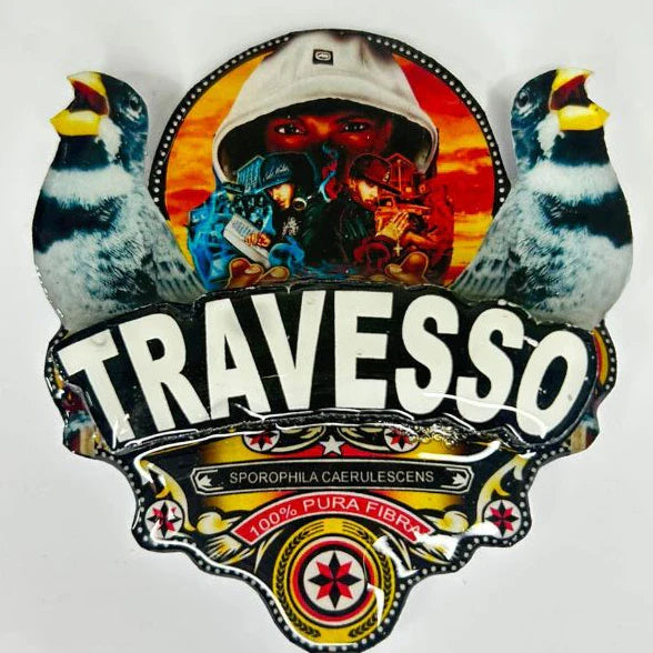 PLACA DE COLEIRO  PERSONALIZADA EM 3D COM NOME DO PÁSSARO