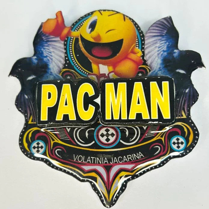 PLACA DE TIZIU PERSONALIZADA EM 3D COM NOME DO PÁSSARO