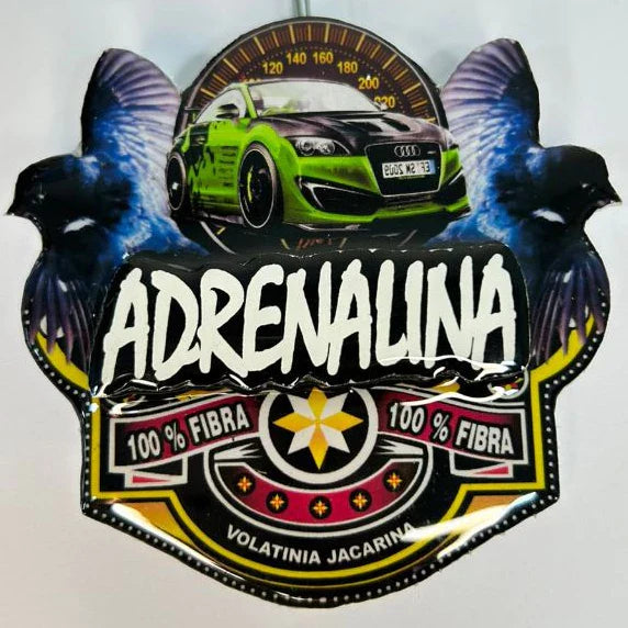 PLACA DE TIZIU PERSONALIZADA EM 3D COM NOME DO PÁSSARO