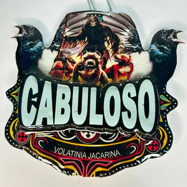 PLACA DE TIZIU PERSONALIZADA EM 3D COM NOME DO PÁSSARO