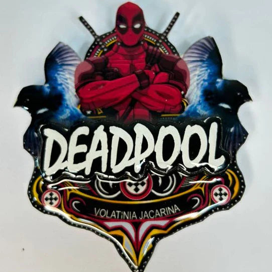 PLACA DE TIZIU PERSONALIZADA EM 3D COM NOME DO PÁSSARO