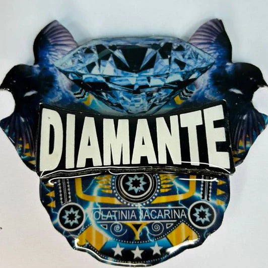 PLACA DE TIZIU PERSONALIZADA EM 3D COM NOME DO PÁSSARO