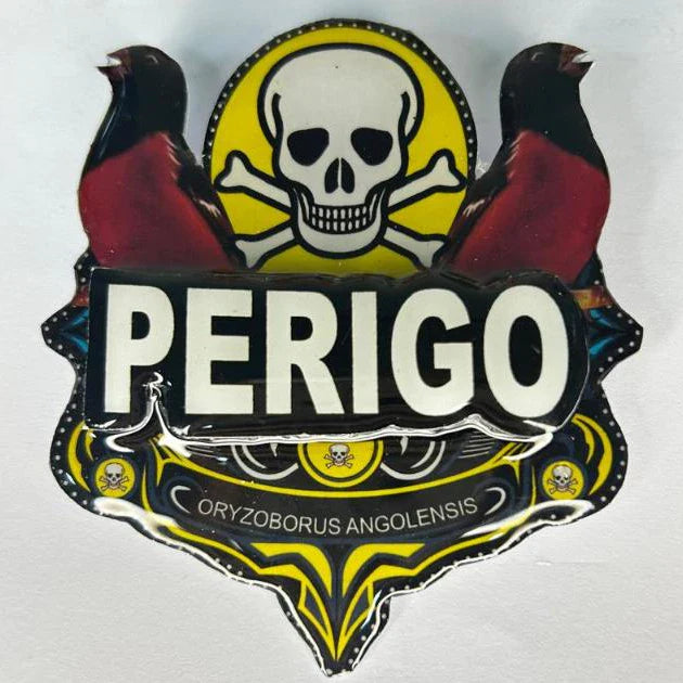 PLACA DE CURIÓ PERSONALIZADA EM 3D COM NOME DO PÁSSARO