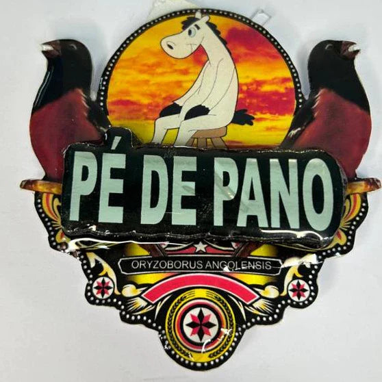 PLACA DE CURIÓ PERSONALIZADA EM 3D COM NOME DO PÁSSARO