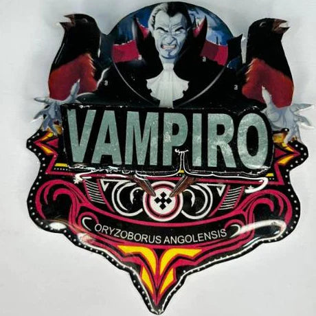 PLACA DE CURIÓ PERSONALIZADA EM 3D COM NOME DO PÁSSARO