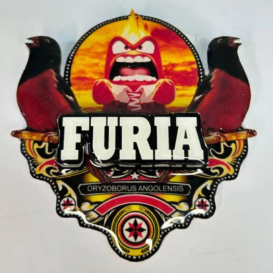 PLACA DE CURIÓ PERSONALIZADA EM 3D COM NOME DO PÁSSARO