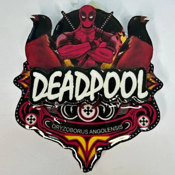 PLACA DE CURIÓ PERSONALIZADA EM 3D COM NOME DO PÁSSARO