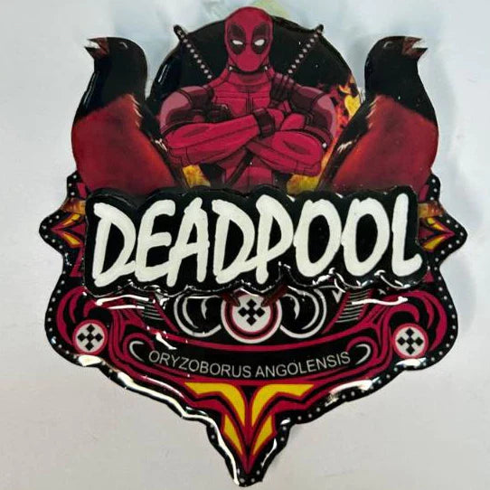 PLACA DE CURIÓ PERSONALIZADA EM 3D COM NOME DO PÁSSARO