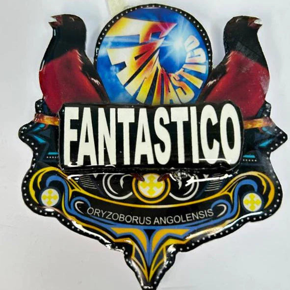 PLACA DE CURIÓ PERSONALIZADA EM 3D COM NOME DO PÁSSARO